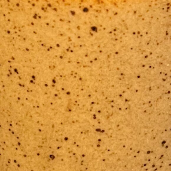 Vintage OTAGIRI JAPAN Fish and Floral Tan Stoneware Mug with Brown Speckles - Picture 11 of 14